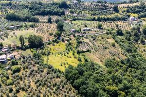 Terreno di 16710 m² a Mompeo