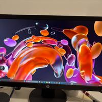 monitor hp 60hz