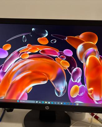 monitor hp 60hz