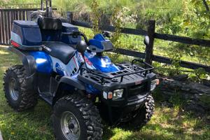 Quad Polaris 700