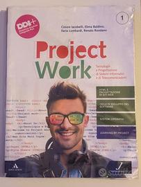“Project Work” - C. Iacobelli