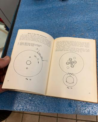 Libretto vintage uso e manutenzione galletto