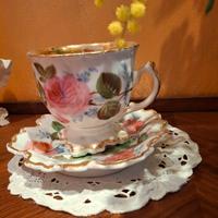 tazza puerpera