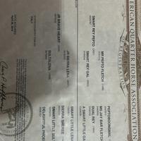 Quarter Horse linea da cutting