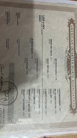 Quarter Horse linea da cutting