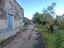 Immagine 19