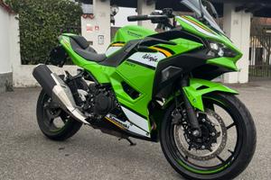 KAWASAKI NINJA 500 SE 2025