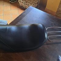 Monosella panebianvo Harley road king 2009