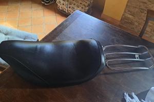 Monosella panebianvo Harley road king 2009