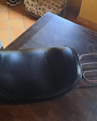 Monosella panebianco Harley road king 2009