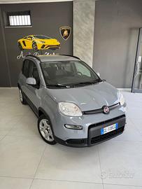 Fiat Panda 1.0 FireFly S&S Hybrid Red