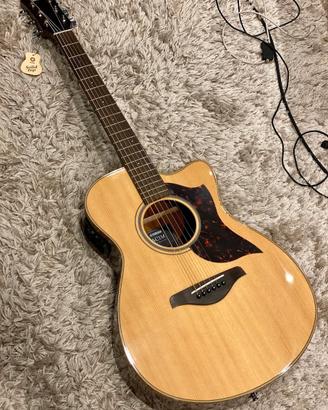 chitarra yamaha