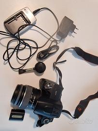 Sony α290