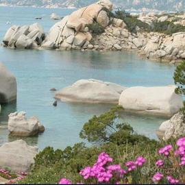 Le Piscine, Costa Serena
