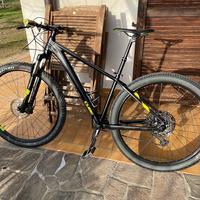 Cube Reaction Pro Mountain Bike