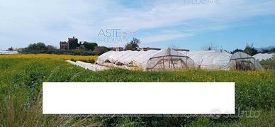 Tsa 297/2021 lotto 1 terreno