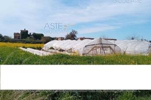 Tsa 297/2021 lotto 1 terreno