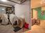 Immagine 28