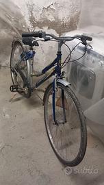 Bicicletta da donna