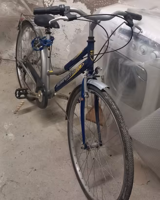 Bicicletta da donna