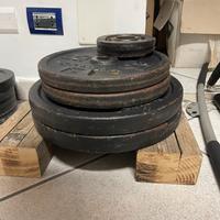 Dischi 28mm Domyos 101kg