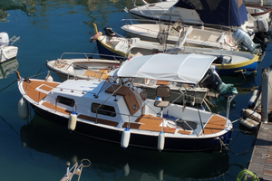 Barca motore entrobordo