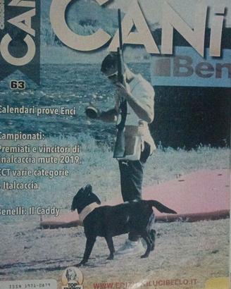 Cinghiale & Cani n.63 Feb Mar 2020 Caccia Calendar