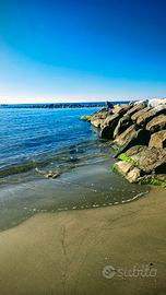 Villetta o appartamento con Giardino