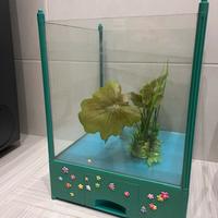Acquario 16 litri