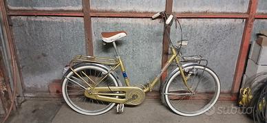 bici pieghevole 20/24 pollici 