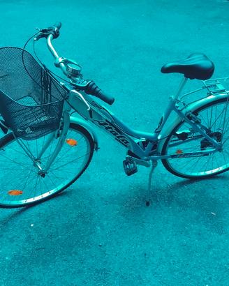bicicletta da passeggio