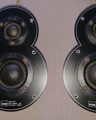 2 altoparlanti unita' medio-alta Esb Uma 700 hifi