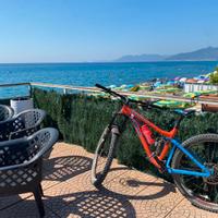Bmc trailfox03 enduro 29