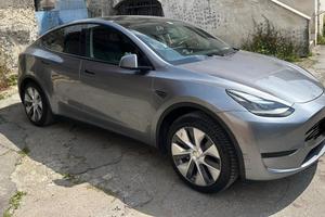 Tesla Model Y standard range