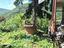 Immagine 14