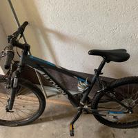 Bicicletta 12-14 anni