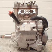 MOTORE Can-Am Ryker 600 - 1.007 km ACE Sea Doo Mav