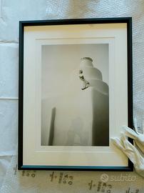 Stampa Fine Art.  "The cat on the Greek roof"