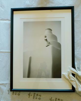 Stampa Fine Art.  "The cat on the Greek roof"