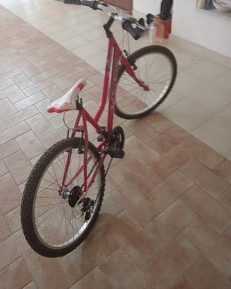 bicicletta  nuova regalata per errore 