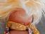 Immagine 3