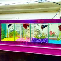 Bettiera Artigianale in vetro Multisettore