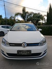 Volkswagen Golf Business 1.4 TGI 5p. Highline Blue