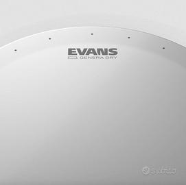 EVANS GENERA Dry 14" pelle per rullante