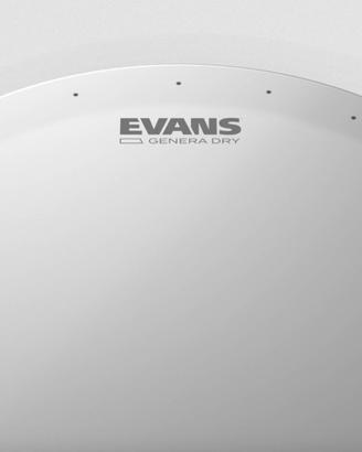 EVANS GENERA Dry 14" pelle per rullante