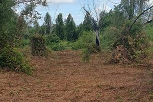 Terreno agricolo