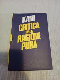 Kant Critica della ragione pura