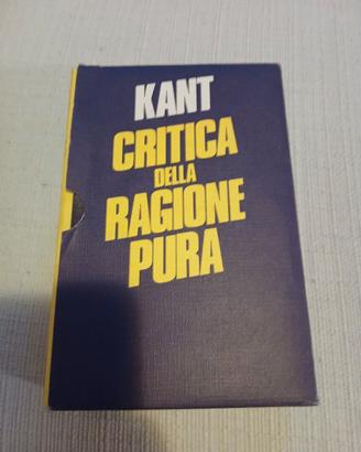 Kant Critica della ragione pura
