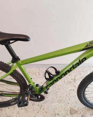 MTB Cannondale 29 Freni idraulici