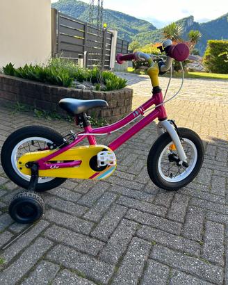 Bicicletta da bambino